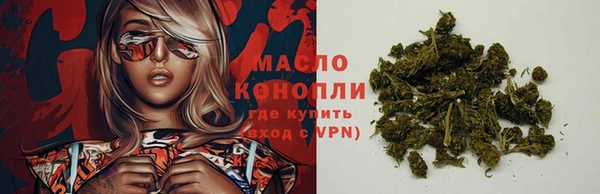 тгк Абаза