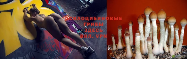 эйфоретик Абинск