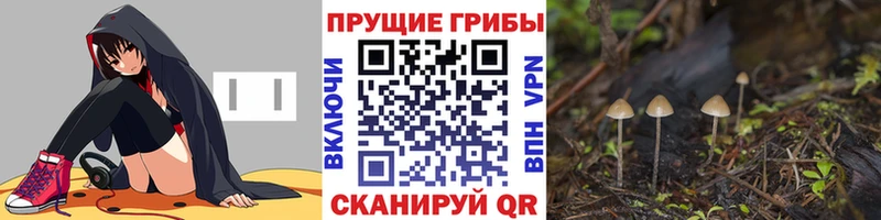 Псилоцибиновые грибы ЛСД  Сальск 